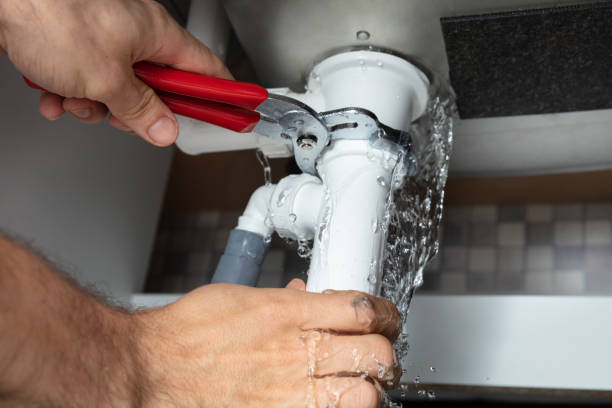 Best Water damage contractors near me  in Greensboro, MD
