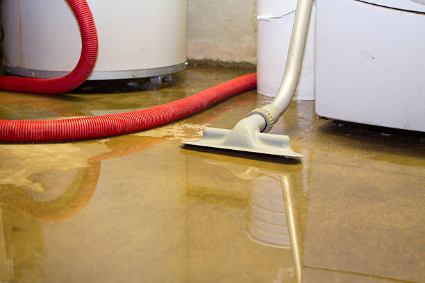 Best Water damage restoration mold remediation  in Greensboro, MD