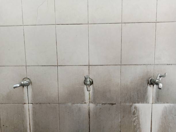 Best Residential water damage restoration  in Greensboro, MD